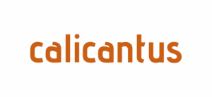 Calicantus