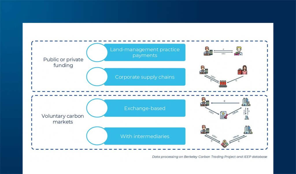 Carbon farming: future perspectives and the contribution provided by digital innovations
