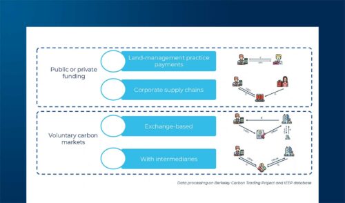 Carbon farming: future perspectives and the contribution provided by digital innovations